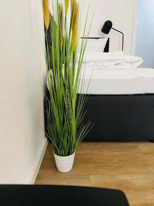 Apartment 2 Am Ufer Mit Boxspringbetten Berlin